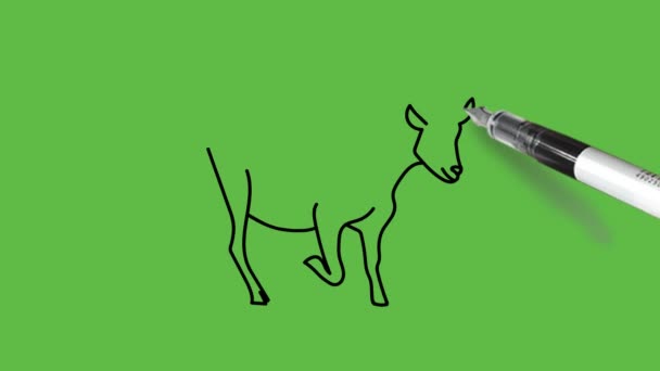 抽象的な緑の背景に黒 グレー 白の組み合わせで歩くヤギを描く — ストック動画