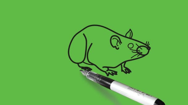 Disegnare Mouse Combinazione Colori Nero Marrone Rosa Sfondo Verde Astratto — Video Stock