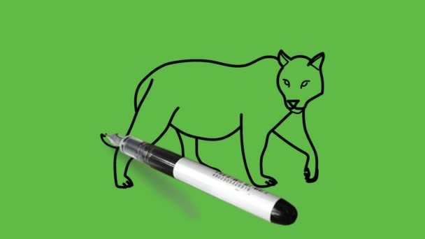 Kreslení Tygra Kombinaci Černé Modré Barvy Abstraktním Zeleném Pozadí — Stock video