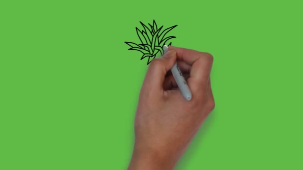 Zeichnung Blatt Pflanze Schwarz Grün Lila Und Braun Farbkombination Auf — Stockvideo
