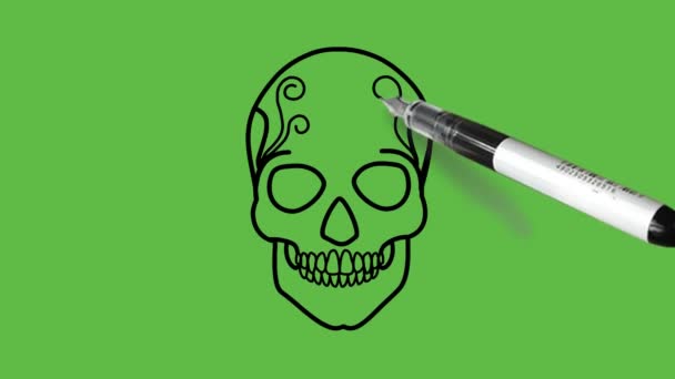 Sketch Calavera Humana Con Arte Flor Color Azul Rojo Amarillo — Vídeo de stock