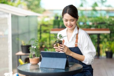 Ev bitkilerinde çalışan Asyalı genç ve tatlı bir kadın. Asyalı kadın bahçıvan, seradaki ağaçların büyümesini kaydetmek ve yakalamak için tablet kullanıyor. Ev konseptinden küçük işletme çalışmaları başlat.