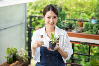 Güzel Asyalı kadın bahçıvan sisli sprey kullanarak bitkileri sulıyor. Sahibi küçük bir sera kurmuş. Saksıda küçük bir ağaç tutan ve saksıda gülümseyen sevimli bir kadın..