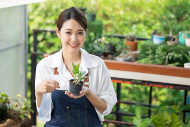 Güzel Asyalı kadın bahçıvan sisli sprey kullanarak bitkileri sulıyor. Sahibi küçük bir sera kurmuş. Saksıda küçük bir ağaç tutan ve saksıda gülümseyen sevimli bir kadın..