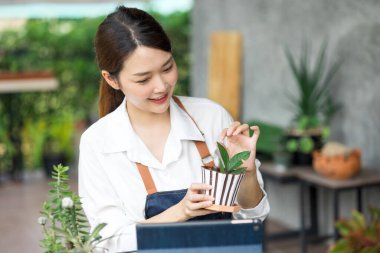 Ev bitkilerinde çalışan Asyalı genç ve tatlı bir kadın. Asyalı kadın bahçıvan, seradaki ağaçların büyümesini kaydetmek ve yakalamak için tablet kullanıyor. Ev konseptinden küçük işletme çalışmaları başlat.