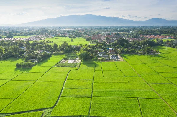 Gecultiveerd Land Land Perceel Land Perceel Bestaande Uit Luchtfoto Van — Stockfoto