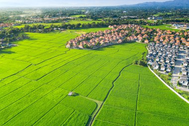 Arazi havadan görünüyor. Manzara, gayrimenkul, yeşil tarla, mahsul, tarım fabrikası dahil. Chiang Mai 'de konut paylaşımı, geliştirme, mülkiyet, satış, kira, satın alma veya yatırım.
