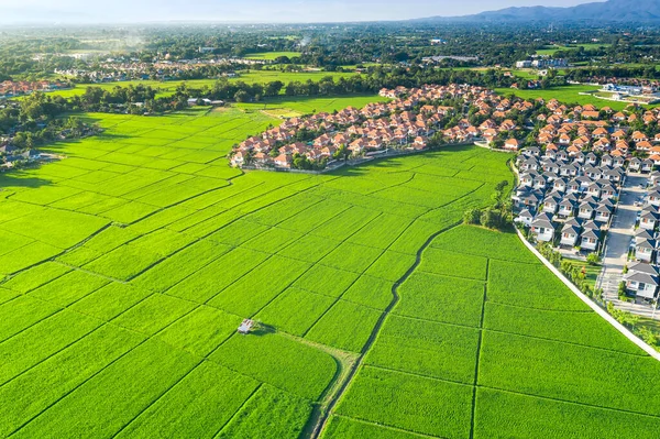 Land plot in aerial view. Include landscape, real estate, green field, crop, agricultural plant. Tract of land for housing subdivision, development, owned, sale, rent, buy or investment in Chiang Mai.