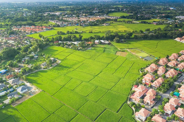 Housing Subdivision Housing Development Also Call Tract Housing Consist House — Stock Photo, Image