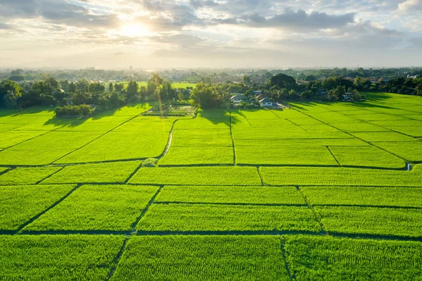 Land plot in aerial view. Include landscape, green field, crop, agricultural plant. Tract of land for housing subdivision, residential, development, owned, sale, rent, buy or investment in Chiang Mai.