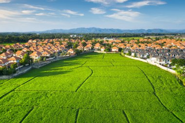 Arazi havadan görünüyor. Manzara, gayrimenkul, yeşil tarla, mahsul, tarım fabrikası dahil. Chiang Mai 'de konut paylaşımı, geliştirme, mülkiyet, satış, kira, satın alma veya yatırım.