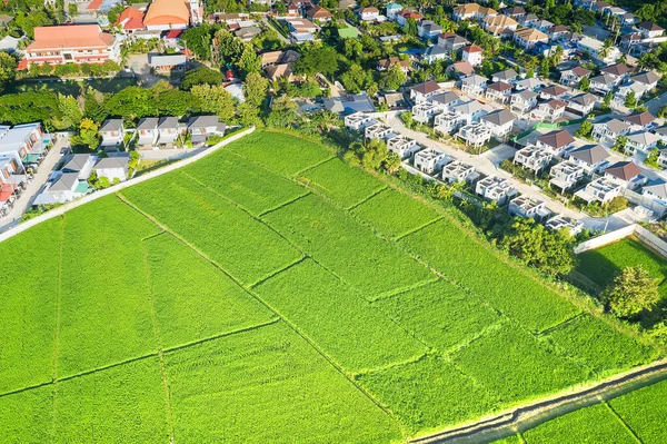 Terreno Vista Aérea Incluye Paisaje Bienes Raíces Campo Verde Cultivo — Foto de Stock