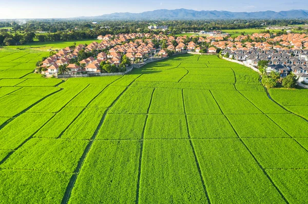 Land plot in aerial view. Include landscape, real estate, green field, crop, agricultural plant. Tract of land for housing subdivision, development, owned, sale, rent, buy or investment in Chiang Mai.