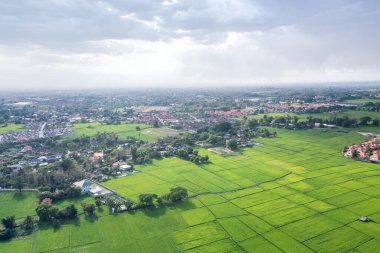 Arazi havadan görünüyor. Manzarayı, yeşil tarlayı, ekini, tarımsal bitkiyi içerir. Chiang Mai 'de konut, konut, imar, mülkiyet, satış, kira, satın alma veya yatırım için arazi.