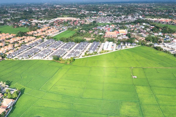 Land plot in aerial view. Include landscape, real estate, green field, crop, agricultural plant. Tract of land for housing subdivision, development, owned, sale, rent, buy or investment in Chiang Mai.