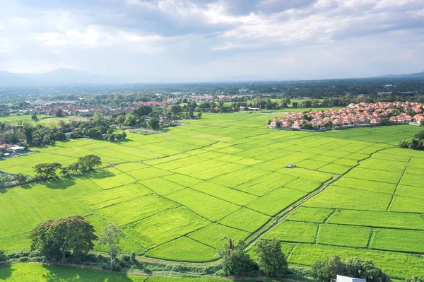 Grundstück Der Luftaufnahme Dazu Gehören Landschaft Immobilien Grüne Wiese Feldfrüchte — Stockfoto