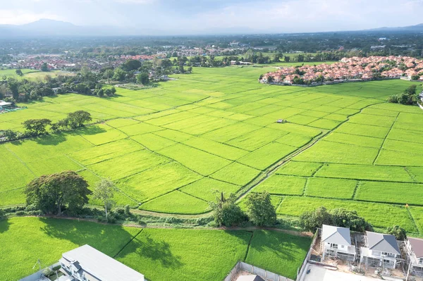 Grundstück Der Luftaufnahme Dazu Gehören Landschaft Immobilien Grüne Wiese Feldfrüchte — Stockfoto