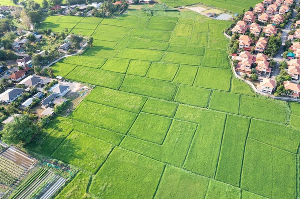 Land or landscape of green field in aerial view. Include agriculture farm, house building, village. That real estate or property. Plot of land for housing subdivision, development, sale or investment.