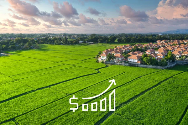 Mark Till Salu Och Investeringar Flygsikt Inkludera Grönt Fält Jordbruk — Stockfoto