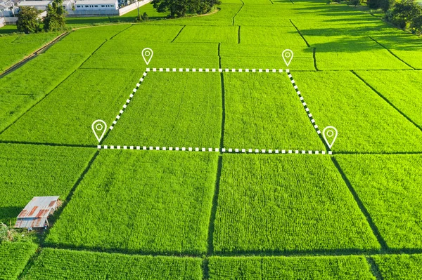 Land plot in aerial view. Identify registration symbol of vacant area for map. That property, real estate for business of home, house or residential i.e. development, sale, buy, purchase or investment