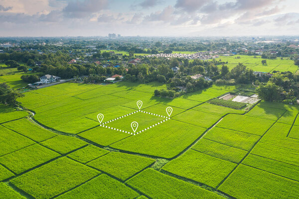 Земля или ландшафт зеленого поля в воздушном виде. Земельный участок для сельского хозяйства, сельхозугодий или плантаций с текстурой урожая, риса, рисовых плантаций. Сельская местность с природой на природе.