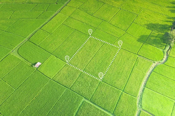 Land Oder Landschaft Von Grünem Feld Der Luftaufnahme Grundstück Auf — Stockfoto