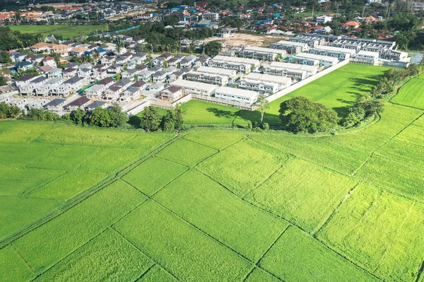 Terreno Paisaje Campo Verde Vista Aérea Incluye Granja Agrícola Construcción —  Fotos de Stock