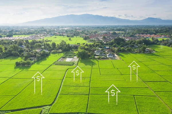 Hodnoty Pozemků Leteckém Zobrazení Skládá Krajiny Zelené Louky Zemědělské Farmy — Stock fotografie