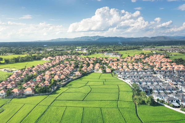 Grond Landschap Van Groen Veld Het Zicht Vanuit Lucht Omvat — Stockfoto