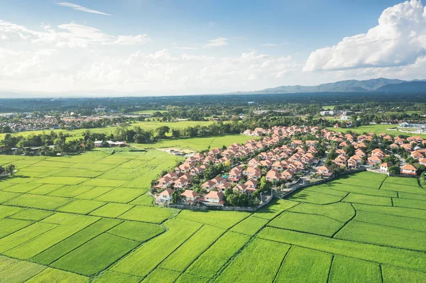 Land or landscape of green field in aerial view. Include agriculture farm, house building in village. That real estate or property. Plot of land for housing subdivision, development, owned, sale, rent, buy or investment in Chiang Mai of Thailand.