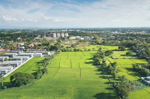 空中景观中的绿地或绿地景观 包括农业农场 房屋建造 房地产或财产 用于住房细分 销售或投资的地块 — 图库照片