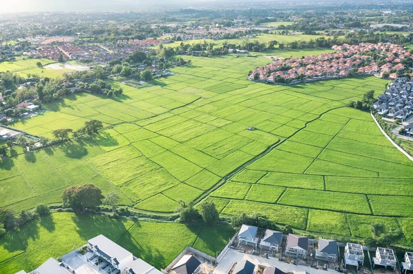 Land Landscape Green Field Aerial View Include Agriculture Farm House — Stock Photo, Image