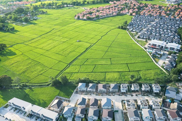 Land Oder Landschaft Von Grünem Feld Der Luftaufnahme Dazu Gehören — Stockfoto