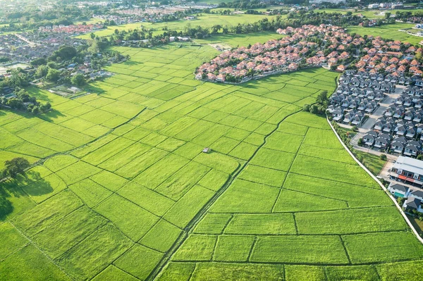 Mark Eller Landskap Grönt Fält Flygsikt Inkludera Jordbruk Gård Hus — Stockfoto