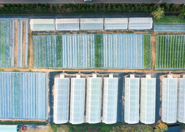 Mezőgazdasági Kísérlet Vagy Kutatóállomás Légi Felvételen Üvegházhatású Épület Vizsgálja Megoldja — Stock Fotó