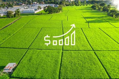 Land value in aerial view consist of landscape of green field or agriculture farm, house building, growth graph of rate market price for agent, realtor, investor to sale, buy, mortgage and investment. clipart