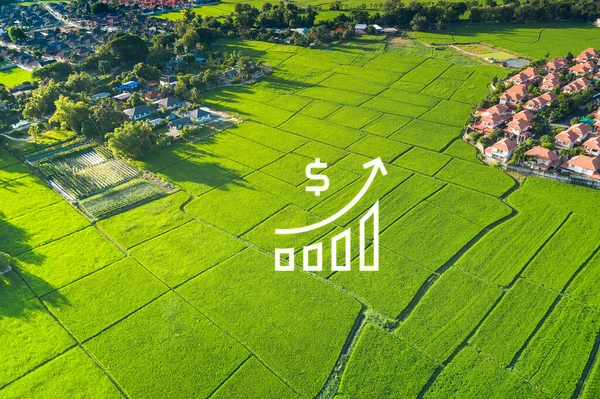 Valor Solo Vista Aérea Consiste Paisagem Campo Verde Fazenda Agrícola — Fotografia de Stock