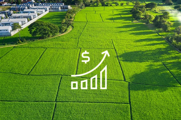 Valor Solo Vista Aérea Consiste Paisagem Campo Verde Fazenda Agrícola — Fotografia de Stock