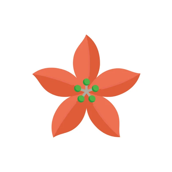 Poinsettia Euphorbia Pulcherrima Vector Icon 피우는 식물이나 카드를 장식용 행사를 — 스톡 벡터