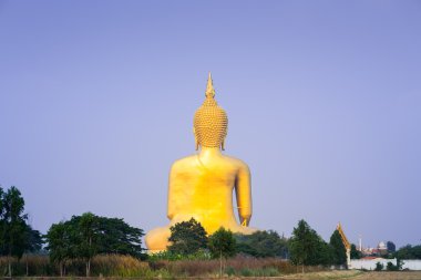 Buda.