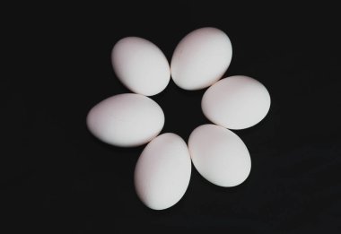 Siyah arka planda altı beyaz yumurta, bir yan çiçek, merkez düzlem oluşturur.