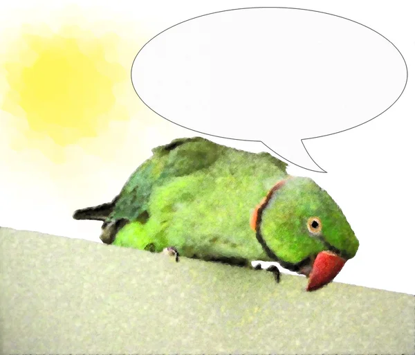 Egzotik papağan konuşma — Stok fotoğraf