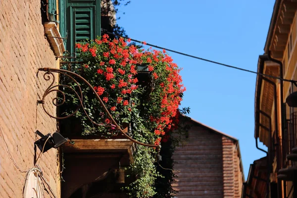 Verona balkonda çiçek