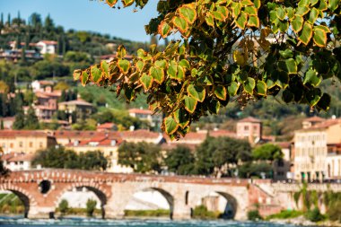 Verona sonbaharda