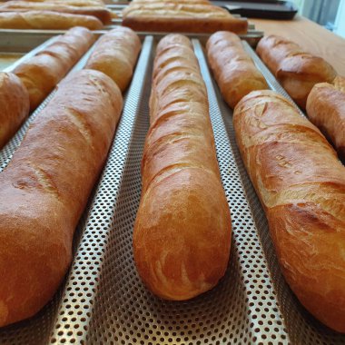 Fırın, yemek ve fırın konseptinde fırın tepsisindeki taze altın çörekler.