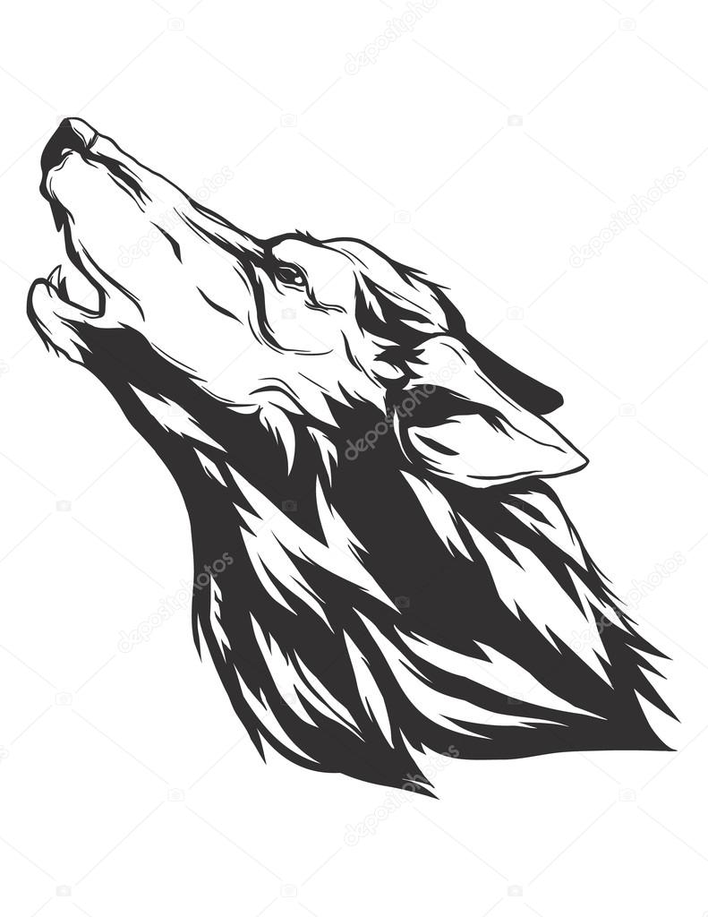 Vector illustration with wolf head