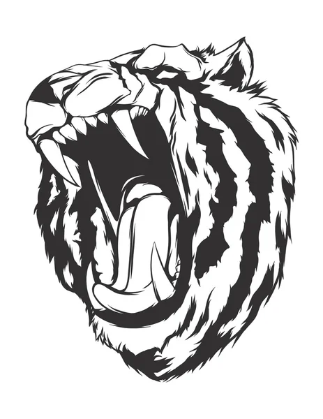Vector illustration with tiger head — Stock Vector