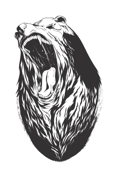 Vektör çizim ayı kafası