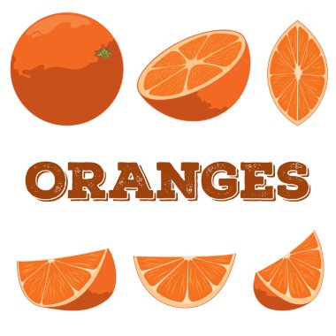 Orange set.Hand drawn oranges.