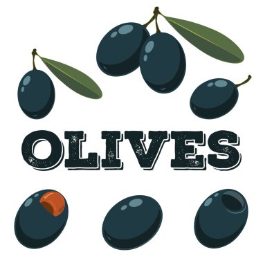 Black olives set.Hand drawn olives.
